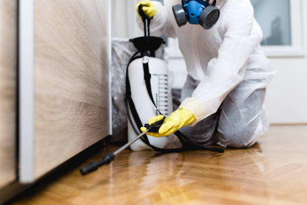 Best Pest Removal Services  in Eau Claire, WI