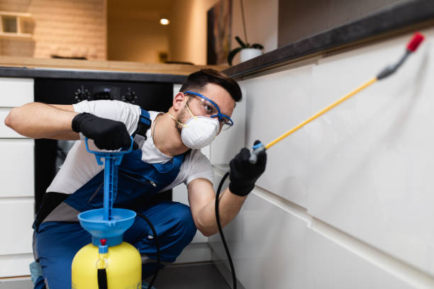 Best Wasp Removal Services  in Eau Claire, WI