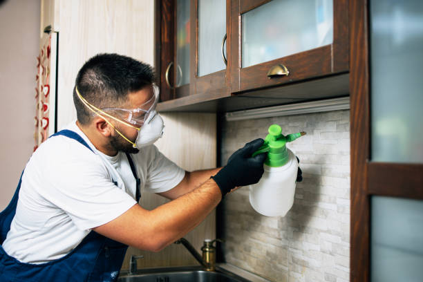 Best Pest Inspection Near Me  in Eau Claire, WI