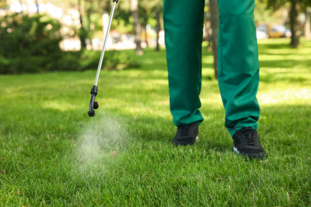 Best Affordable Pest Control Services  in Eau Claire, WI