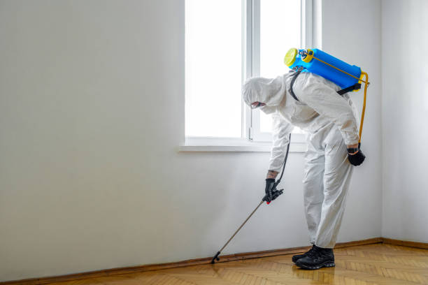 Best Termite Control Services  in Eau Claire, WI