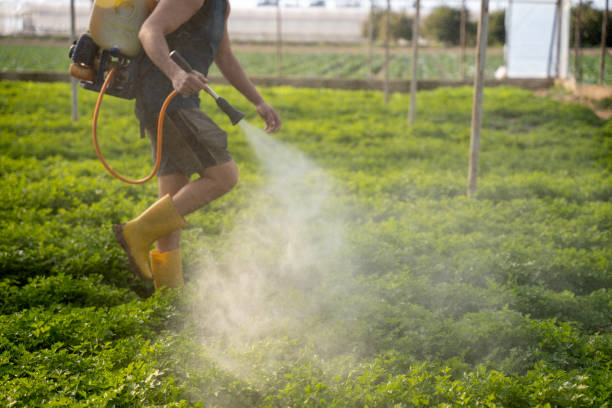 Best Insect Control  in Eau Claire, WI