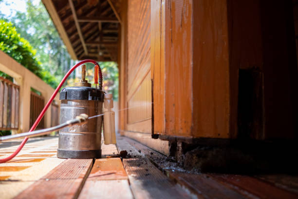 Best Exterminator Services  in Eau Claire, WI