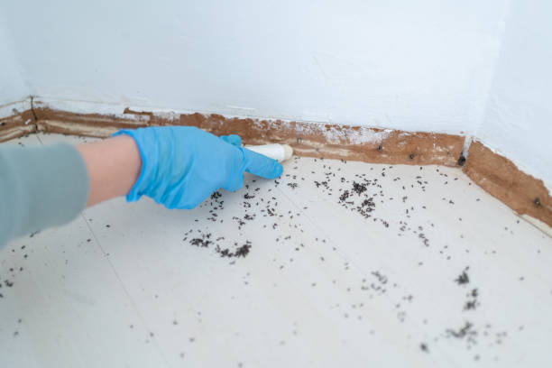 Best Bed Bug Extermination  in Eau Claire, WI