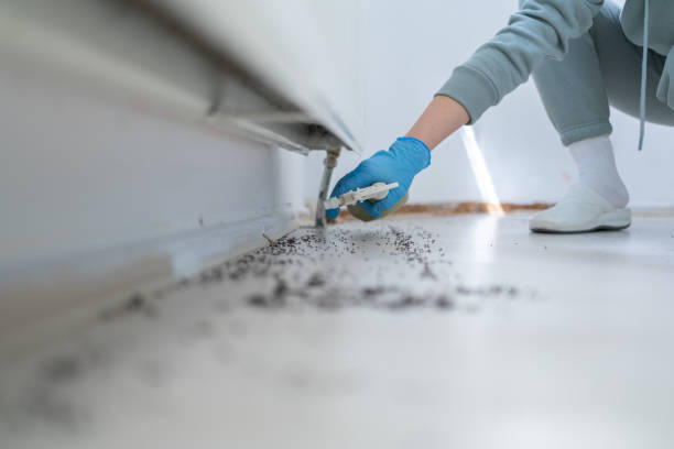 Best Commercial Pest Control Services  in Eau Claire, WI