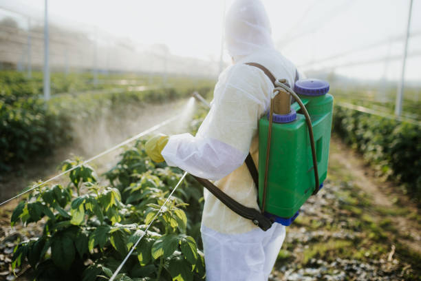 Best Emergency Pest Control  in Eau Claire, WI